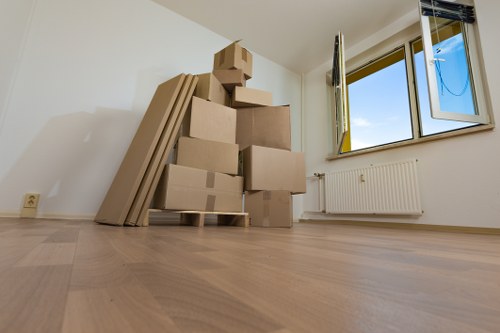 Professional removalist team assisting with household move in Doubleview