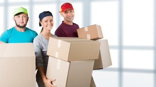 Professional removalist team packing items