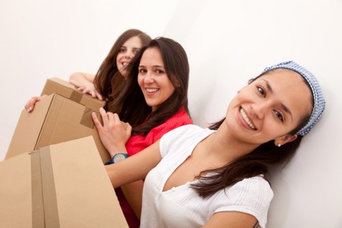 Removalist services offered by Bronte companies