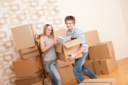 Cost-effective moving solutions with Bronte removalists